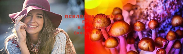 марки lsd Белокуриха
