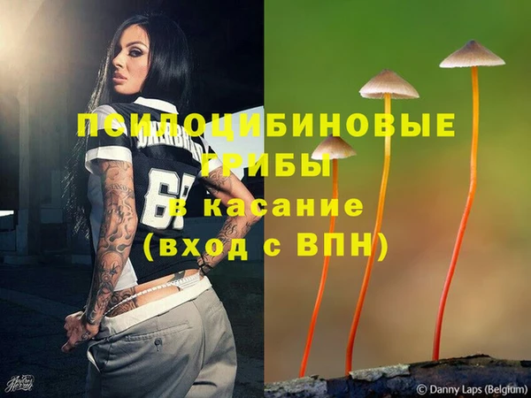 марки lsd Белокуриха