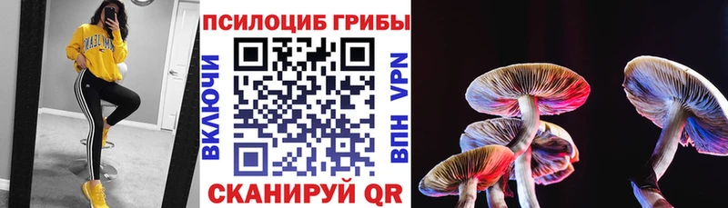 Псилоцибиновые грибы Psilocybe  Верхняя Пышма 