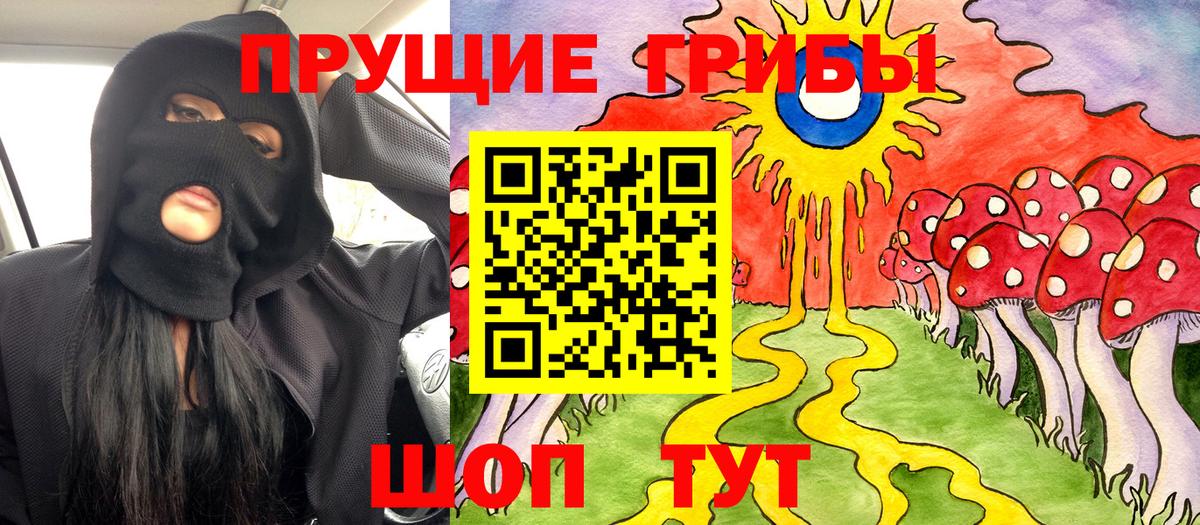 Верхняя Пышма  Псилоцибиновые грибы MAGIC MUSHROOMS  Вход с VPN  Галлюциногенные грибы мухоморы 